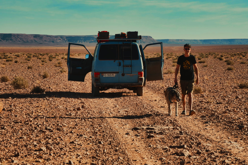 Berry dans le désert