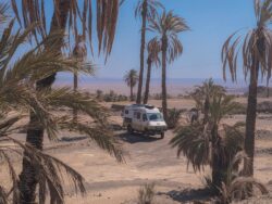 Photo du camion Juno au milieu d'une oasis